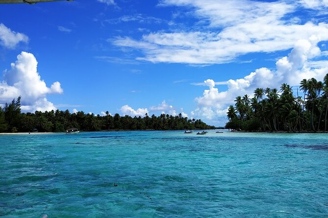 1/2 day Tahaa coral garden - departure Raiatea / ideal for cruise passengers - Walking over coral before you enter the water