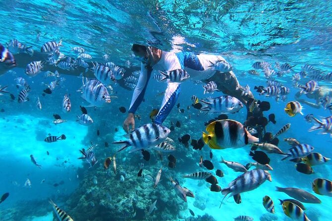 1/2 day Tahaa coral garden - departure Raiatea / ideal for cruise passengers - The boat ride from Raiatea to Tahaa