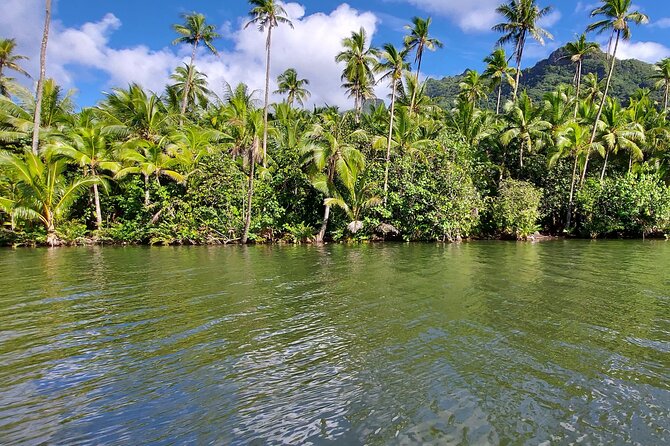 1/2 day "Treasures of Raiatea" by boat - ideal for cruise passengers - Riding up the Faaroa River