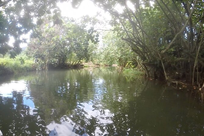 1/2 day "Treasures of Raiatea" by boat - ideal for cruise passengers - The boat rides are part of the experience