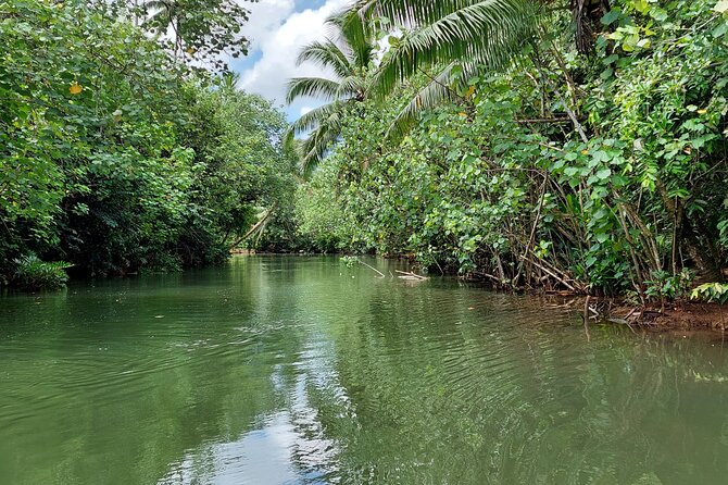 1/2 day "Treasures of Raiatea" by boat - ideal for cruise passengers - Fresh fruit and a simple island welcome