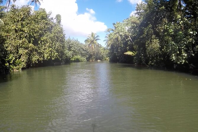 1/2 day "Treasures of Raiatea" by boat - ideal for cruise passengers - Weather can make or break the morning
