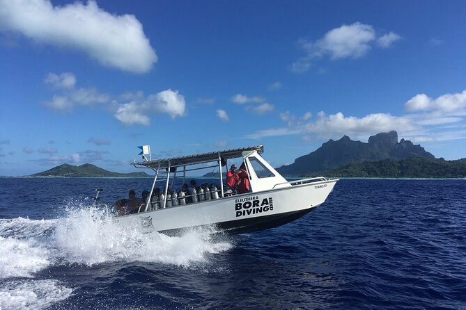 1 Afternoon Dive for Certified Divers in Bora Bora - Choosing between the lagoon and the reef