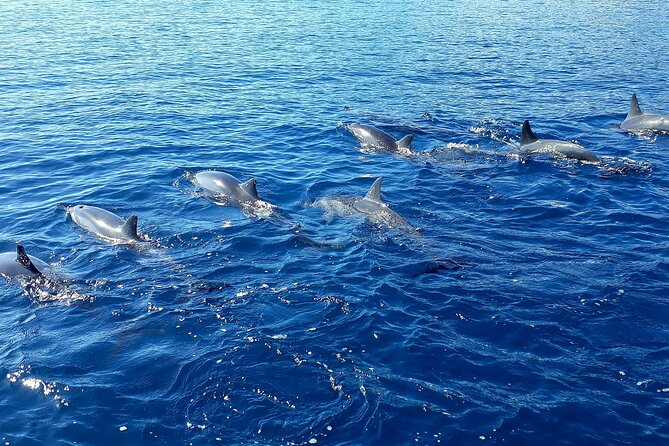 1-hour jet ski excursion in Tahiti - A fast way to see Tahiti from the water