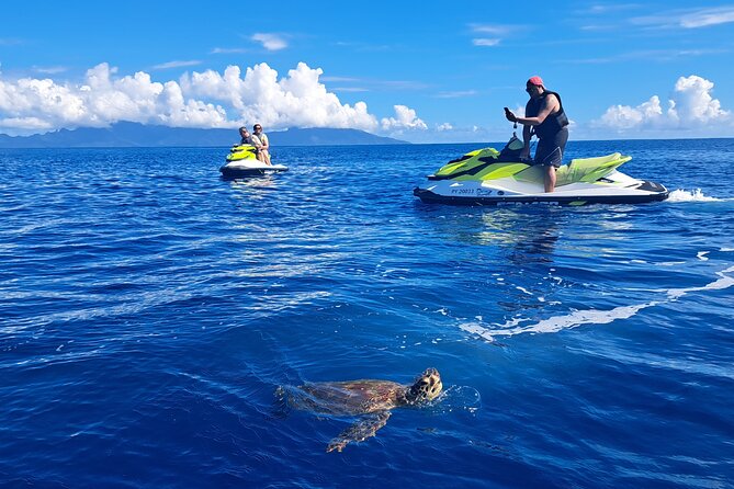1-hour jet ski excursion in Tahiti - Wildlife sightings are possible, not promised