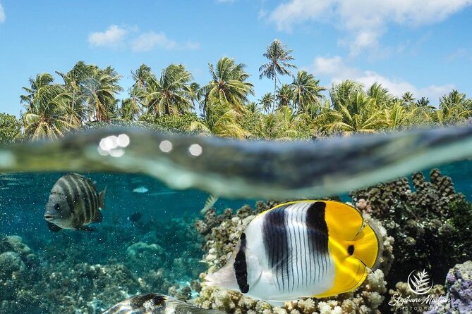 1-hour jet ski excursion in Tahiti - Who will enjoy this ride most