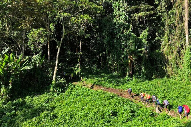 11 Day Kokoda Trek Australian and Local Guides - Day 7: Kagi, Brigade Hill, and Menari