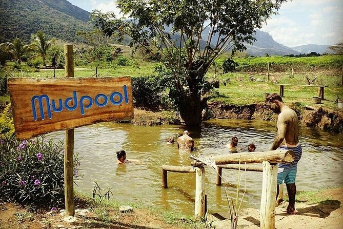 16 Lines Zipline, Cave and Mud Spa Combo Tour with Lunch in Fiji - The climb is part of the workout