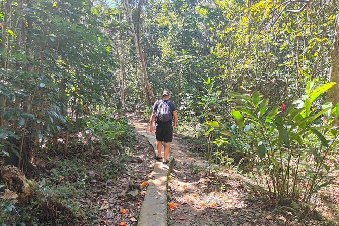 16 Lines Zipline, Cave, Hiking & Biausevu Waterfall Combo Tour - The 2.5-kilometer route to Biausevu Waterfall