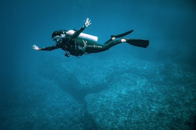 2 Dives in the morning for certified divers in Bora Bora - Guides who make a difference underwater