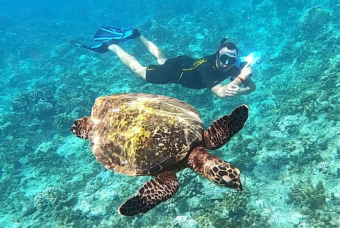 2-hour Jet Ski outing in Puna'auia - My call: book it if you want speed and scenery