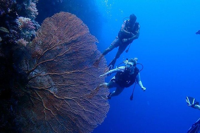 3 Day Dive Tour - Key points to know before you book