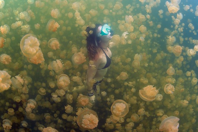 3 Day Dive Tour - Booking timing, weather, and cancellation