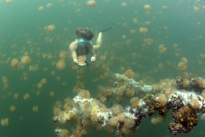 3 Day Dive Tour - What the underwater days are likely to feel like