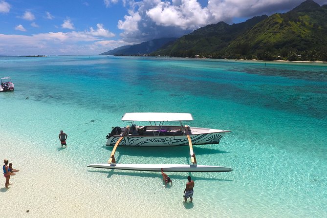 3-hour Lagoon Snorkeling Tour - Shared Tour - First Stop: Stingrays and Blacktip Sharks