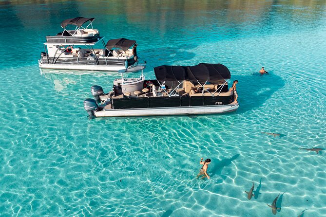 3-Hour Snorkeling Tour - Price, group size, and timing