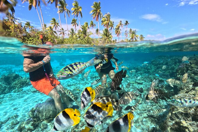 3H Adventure in JET SKI Snorkeling and Tahaa Lagoon - Riding from Raiatea toward Tahaa