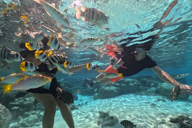 3H Adventure in JET SKI Snorkeling and Tahaa Lagoon - What the jet ski portion feels like