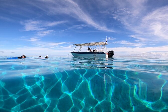 3h dolphin and snorkeling tour in a wild lagoon with Mobydick - Setting out on Stenella