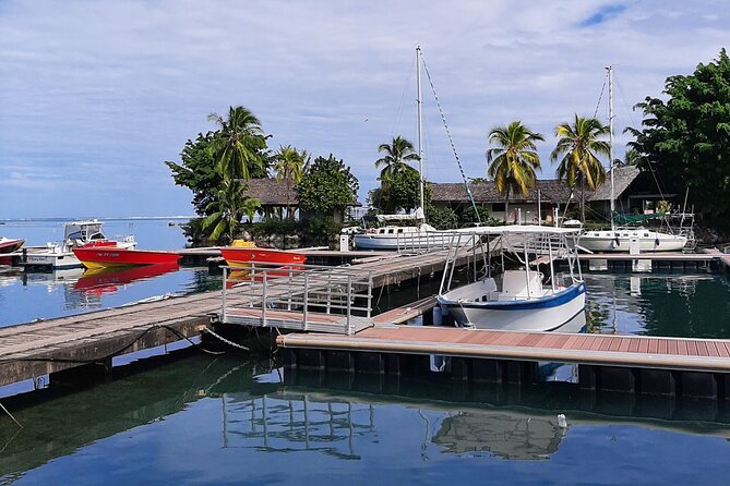 3h dolphin and snorkeling tour in a wild lagoon with Mobydick - Snorkeling above Mara’a’s coral formations