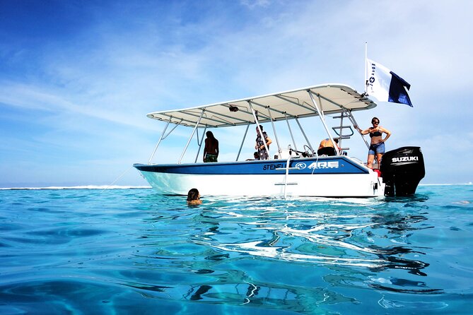 3h dolphin and snorkeling tour in a wild lagoon with Mobydick - Who will enjoy this boat trip most