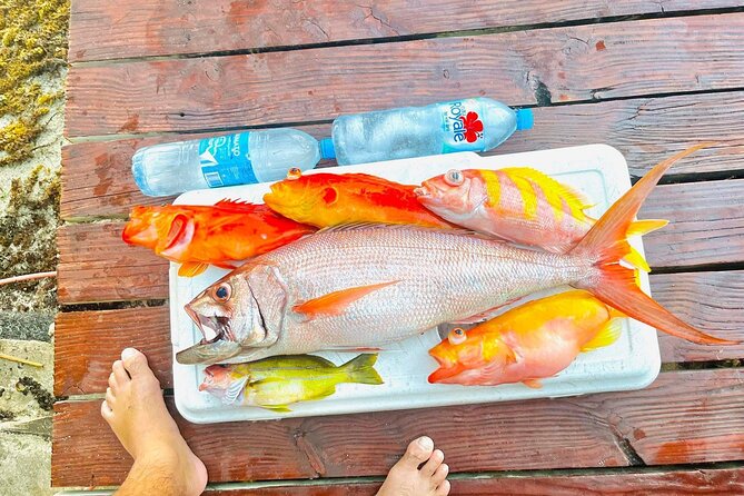 4 Hour Ariki Fishing Activity in Moorea - What the four-hour Moorea trip is really about