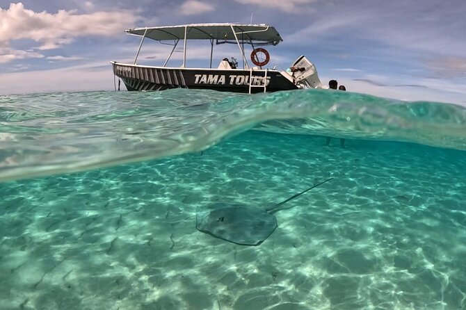 4 Hour Private Humpback Whales Encounter in Moorea - Entering the water with the whales