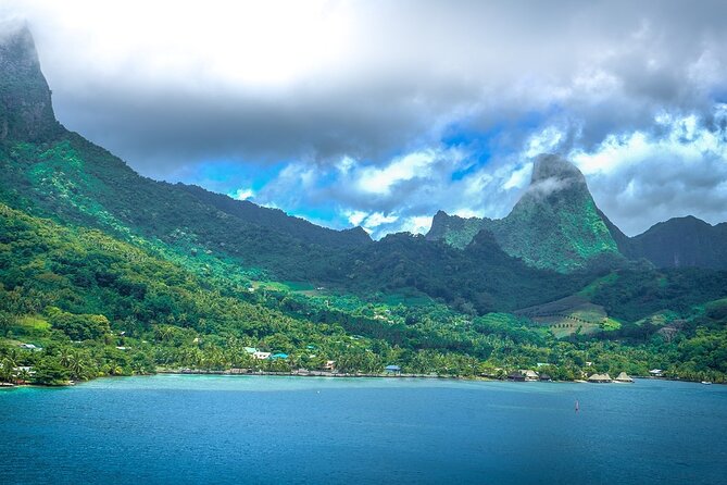 4 Hour Private Humpback Whales Encounter in Moorea - A private tour that costs more for a reason