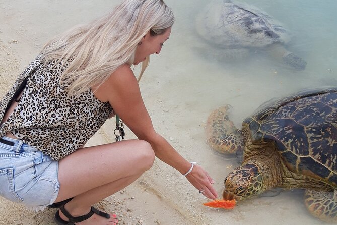 4 Hour: Private Tropical Trio Excursion (with Hotel Pickup) - Weather, flexibility, and what to expect on the day