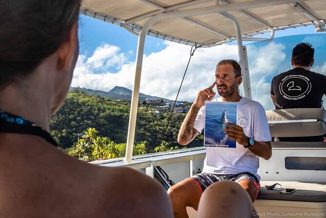 4 Hours of Humpback Whale Watching in Tahiti - Why the small group matters