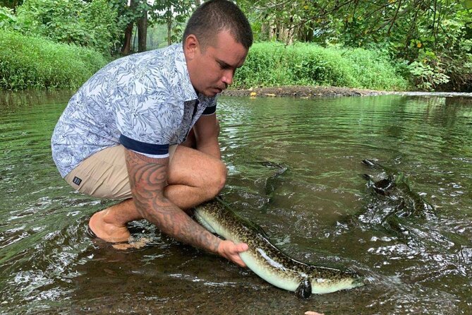 4x4 Moorea Safari Tours : Private tours - Pineapple country and Moorea’s farm character
