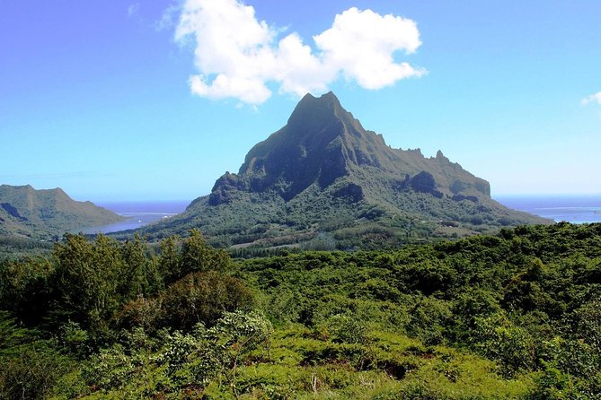 4x4 Moorea Safari Tours : With Hotel transfers - How much value do you get for $57.09?