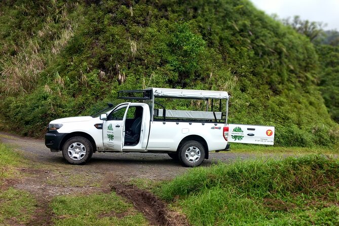 4x4 Safari HEREAKIMANU Tour in the Heart of Tahiti - Vaihiria, the tunnel, and the volcanic crossing