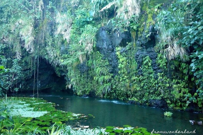 5 Hours Tahiti Island Tour - West and East Coast - Vaipahi Water Gardens and a waterfall