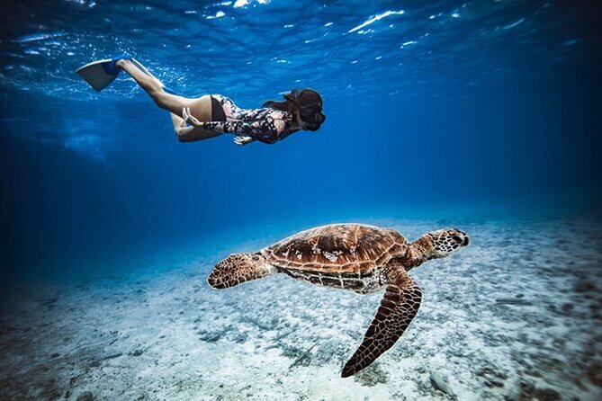 6 Hour Private Boat Activity with Snorkeling & Lunch - Cook Bay and Opunohu Bay by boat