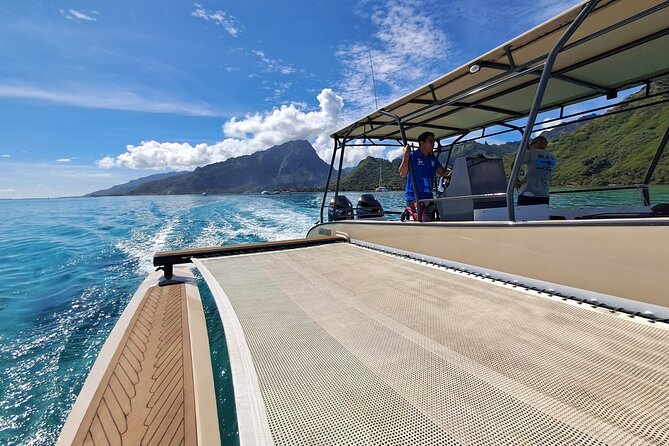 6 Hour Private Boat Activity with Snorkeling & Lunch - How this compares with a shared excursion