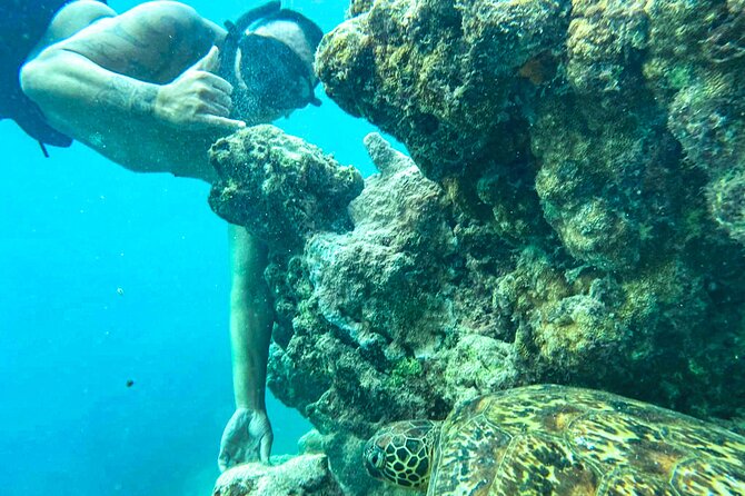 A Cook Islands Turtle Tour - small groups, premium experience - Underwater photographs without carrying your own camera