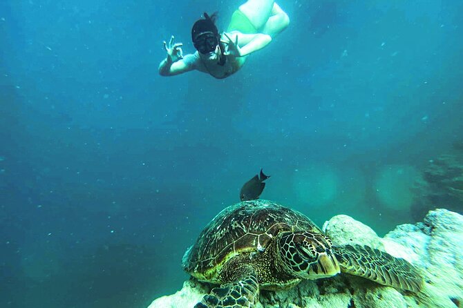 A Cook Islands Turtle Tour - small groups, premium experience - Safety equipment that helps beginners relax