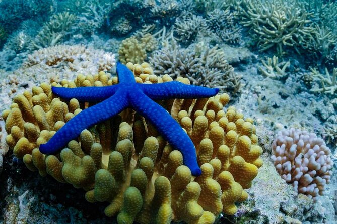 A Turtle Tour on Rarotonga - small groups, premium experience - Practical details that affect your day