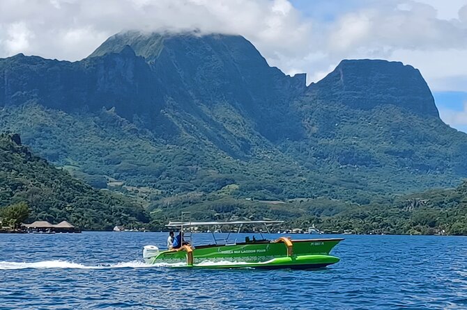Activity/Excursion Lagoon Tour to Moorea by Canoe 6 hours - Who will enjoy this Moorea outing most