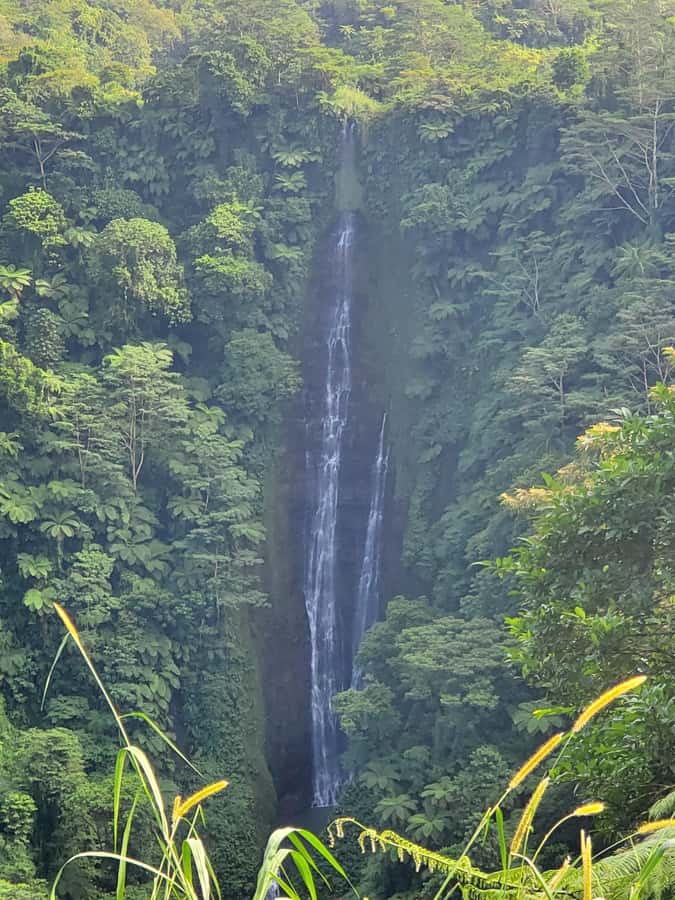 Adventour Samoa: Full Day Tour - To Sua Ocean Trench is the day’s most memorable option