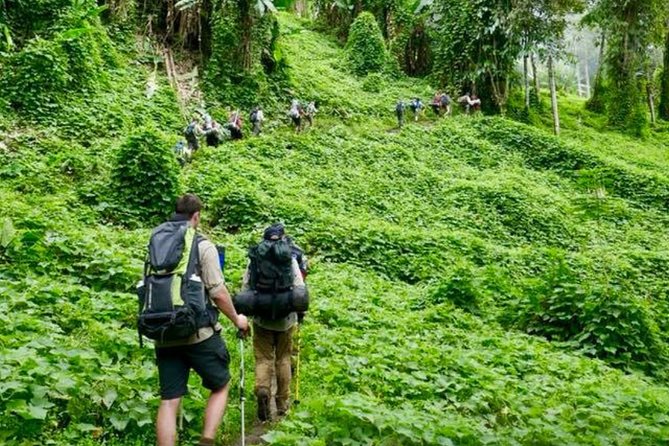 ADVENTURE KOKODA 10-Day Premium Kokoda Campaign Trek Australian Led - Day 3: The Golden Staircase and Imita Ridge