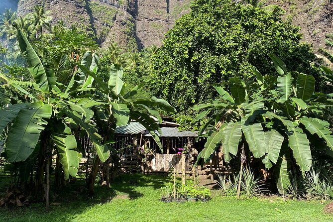Adventurous Escape to Hakaui Valley - Homemade lunch at 1:30 pm
