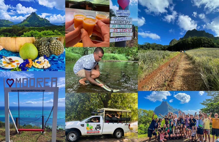Albert Tours Excursion Safari - Moorea Safari tours&pick up - Cook’s Bay and Opunohu Bay set the scene