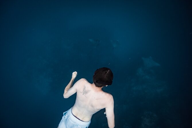 An Eagle Ray and Turtle Tour-Small Groups & Photography Included - Why this short Rarotonga snorkel is different