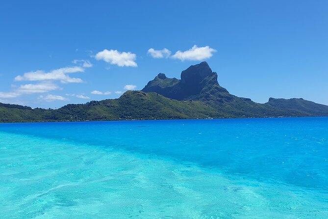 An Immersed Day in Bora Bora with O-sea - Morning water stops: rays, coral, and tropical fish