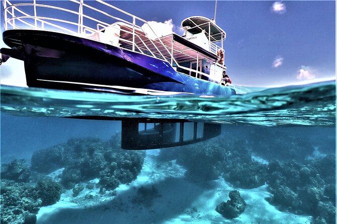 An Immersed Day in Bora Bora with O-sea - Who will enjoy this day most