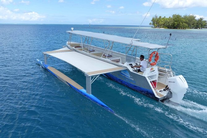 Apetahi day trip around Raiatea on a modern outrigger canoe - Raiatea’s west coast and the first wildlife search