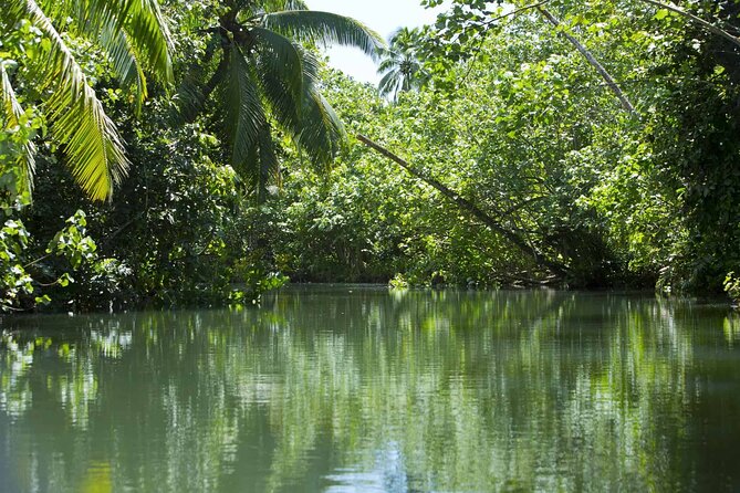 Apetahi day trip around Raiatea on a modern outrigger canoe - Taputapuatea Marae adds meaning to the route