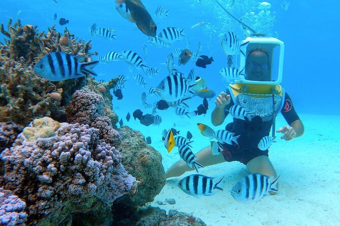 Aqua Safari Introductory Helmet Dive (Underwater Walk) - Walking through Bora Bora’s lagoon in a helmet